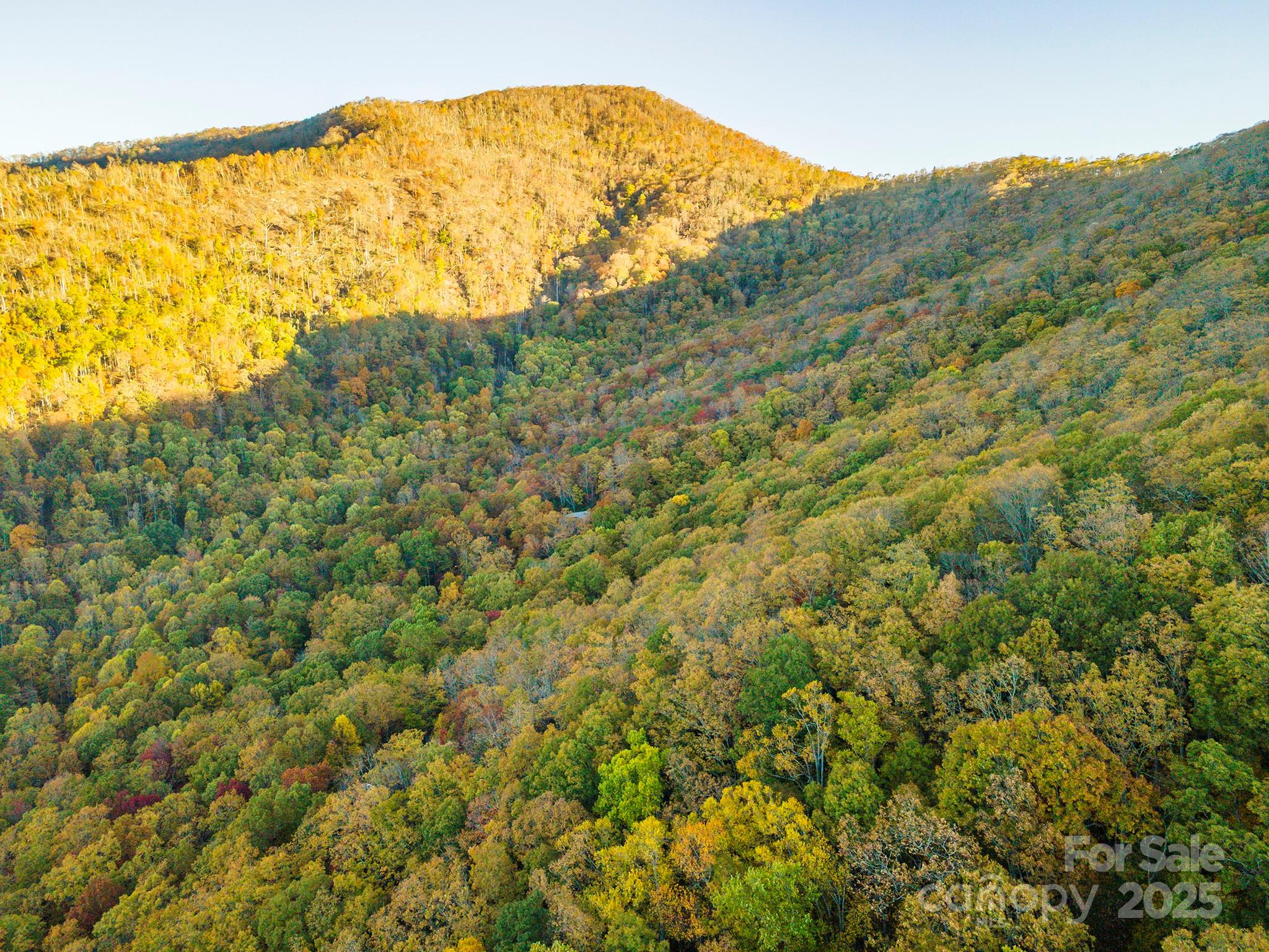 Tbd Summer Haven Road, Unit 16 Swannanoa, NC 28778 - Photo 7 of 45