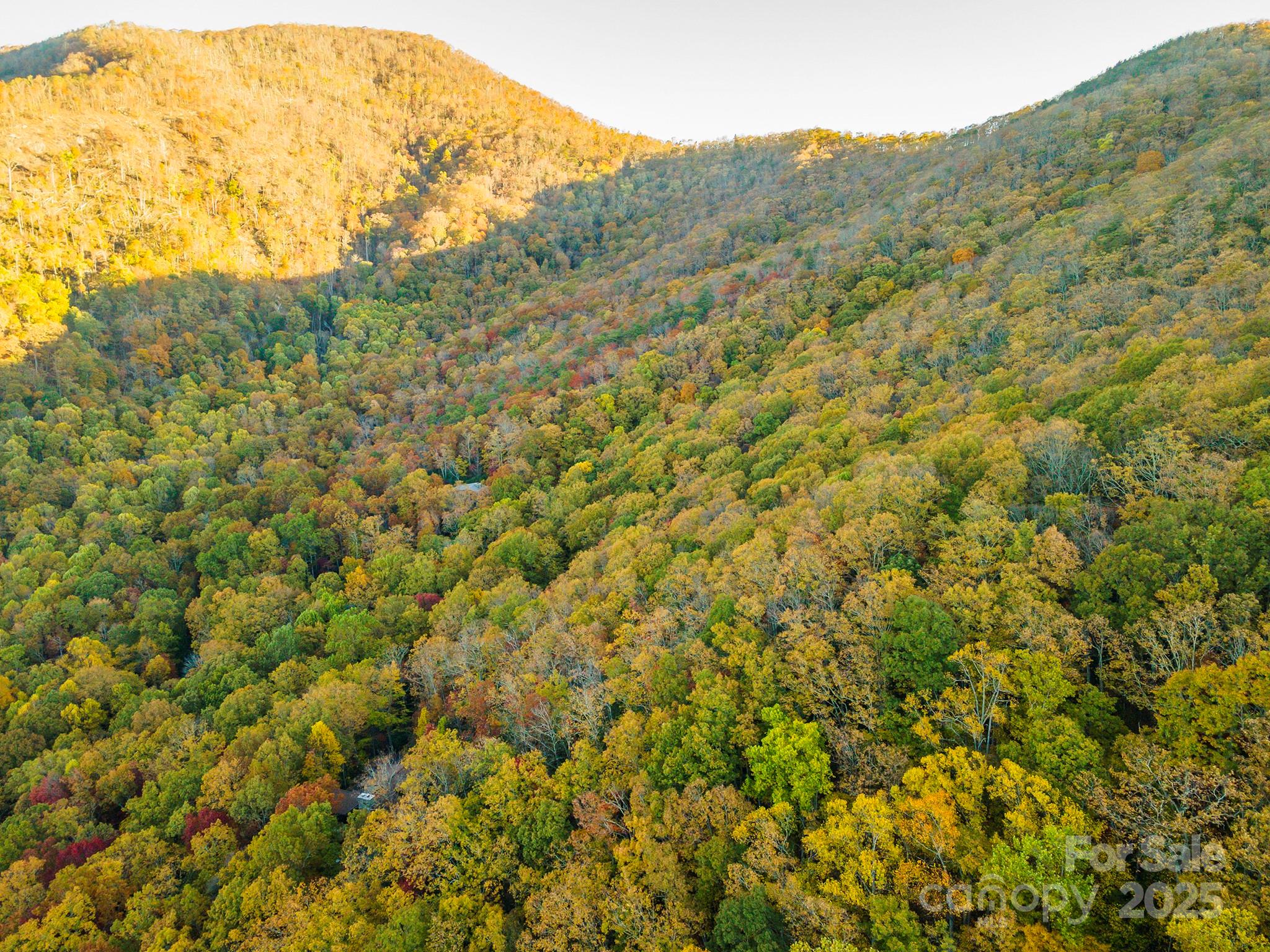 Tbd Summer Haven Road, Unit 16 Swannanoa, NC 28778 - Photo 8 of 45 a view of a field with mountains in the background