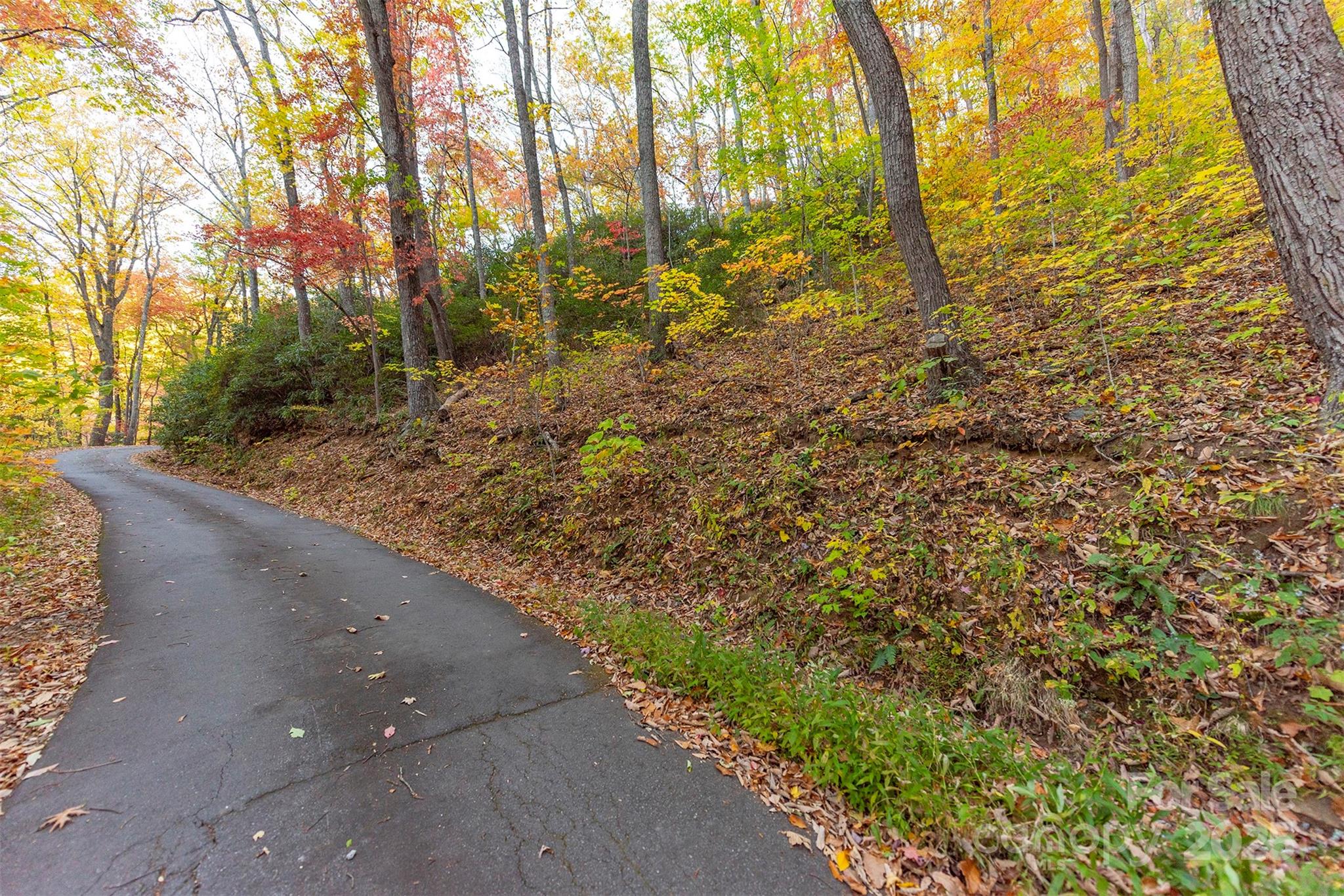 Tbd Summer Haven Road, Unit 16 Swannanoa, NC 28778 - Photo 10 of 45 a view of a yard with plants and trees