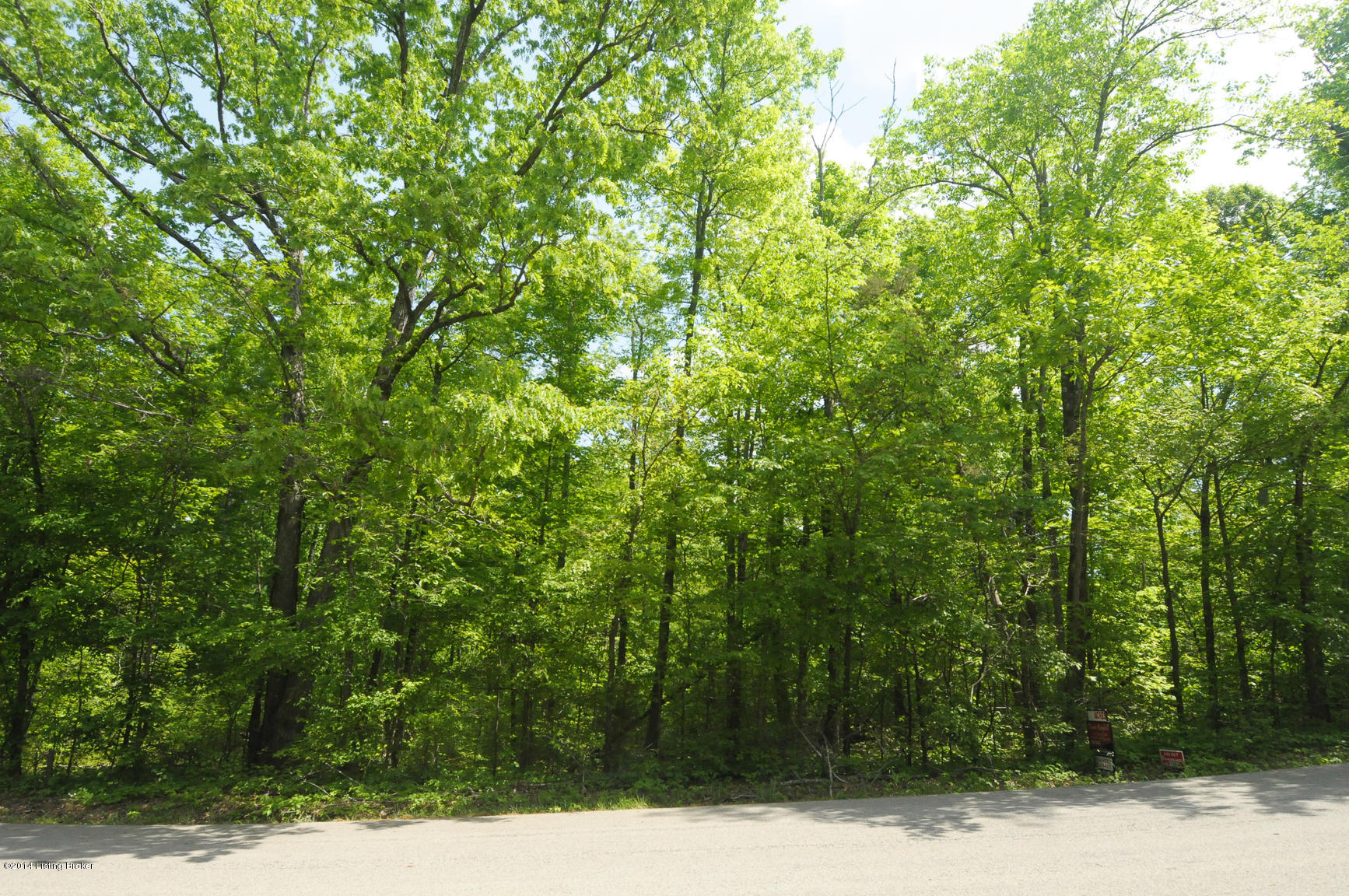 47 Camp Green Shores Road Falls Of Rough, KY 40119 - Photo 1 of 9 lake pic