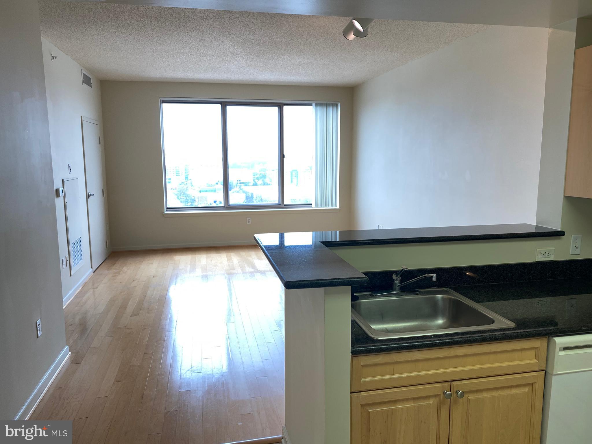 2726 Gallows Road, Unit 1401 Vienna, VA 22180 - Photo 4 of 14