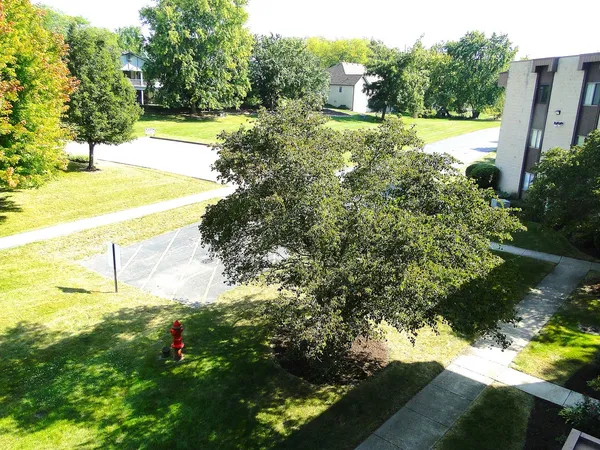 a view of a garden with an outdoor space