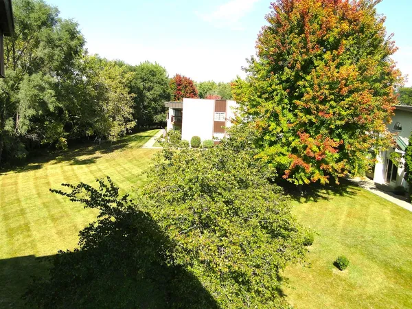 a view of a yard