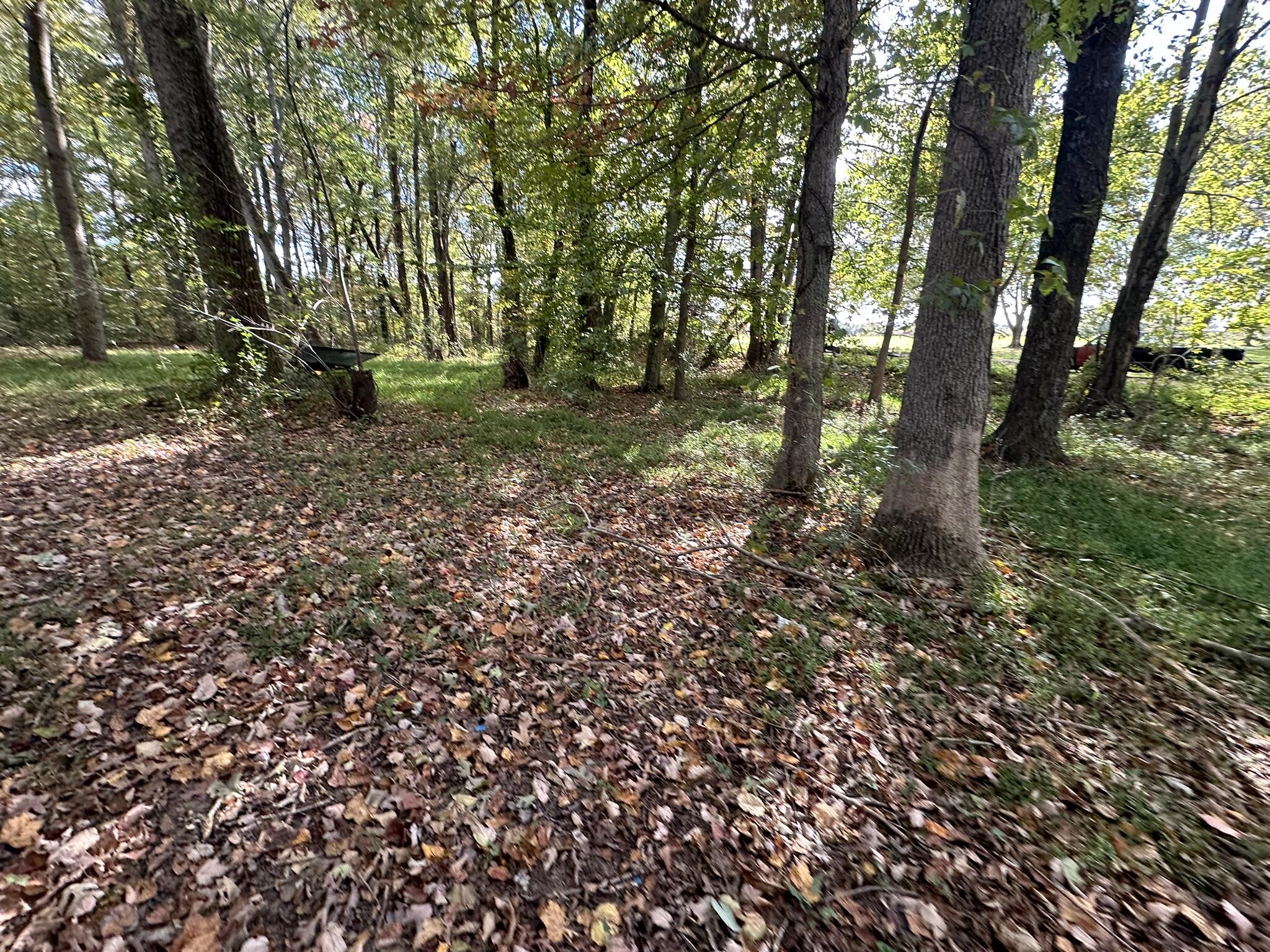 196 Oaks Road Russell Springs, KY 42642 - Photo 25 of 27 25