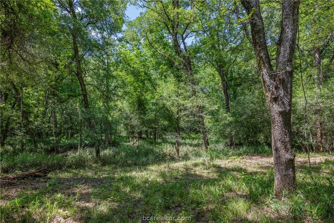 Tbd Weber Road Bryan, TX 77808 - Photo 29 of 43