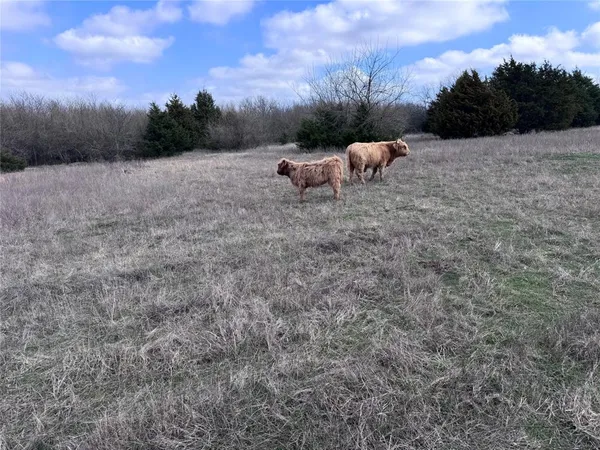 a view of an outdoor space and yard