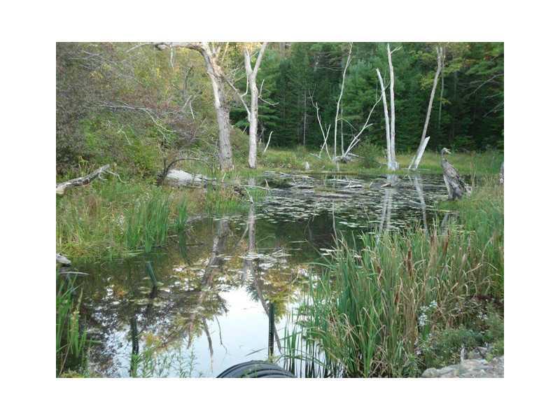 74 Searls Mills Road Augusta, ME 04330 - Photo 11 of 26 Land.