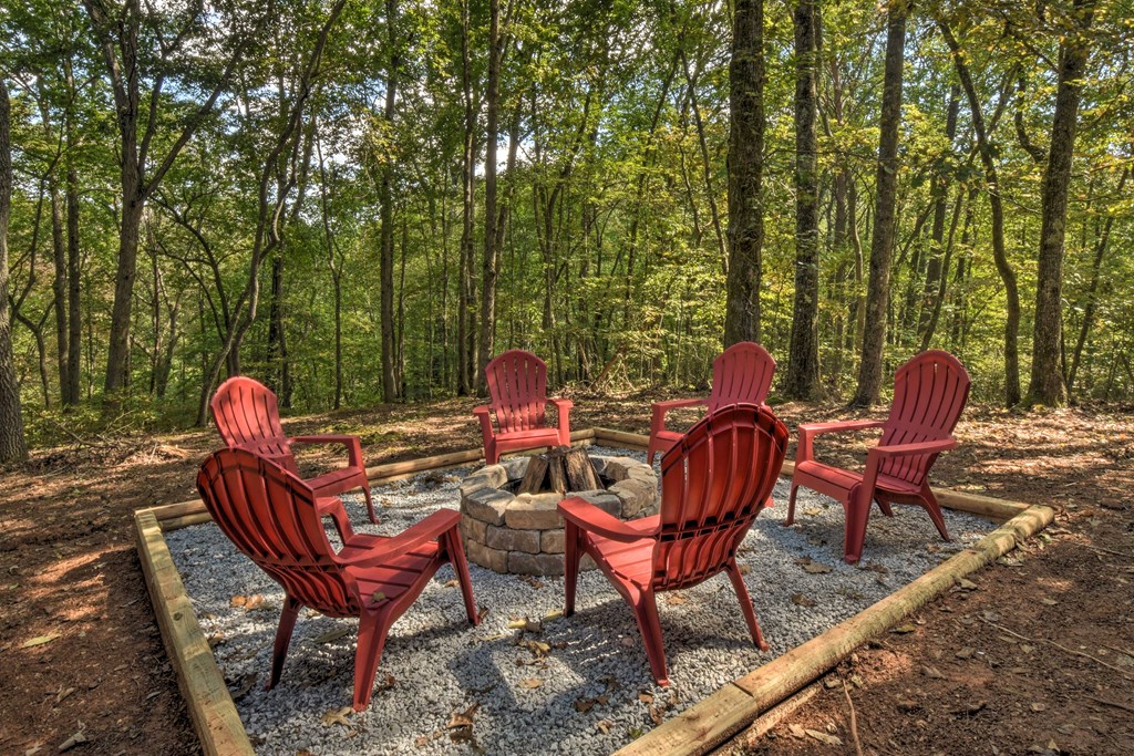 216 Brookhaven Trail Blue Ridge, GA 30513 - Photo 68 of 76 Gallery Image 68