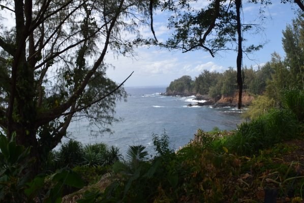 24 Lot Pepeekeo, HI 96783 - Photo 11 of 18