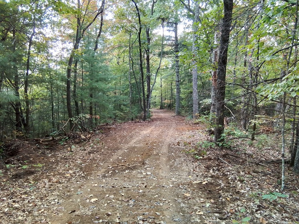 End Of Tanglewood Ridge Murphy, NC 28906 - Photo 18 of 38