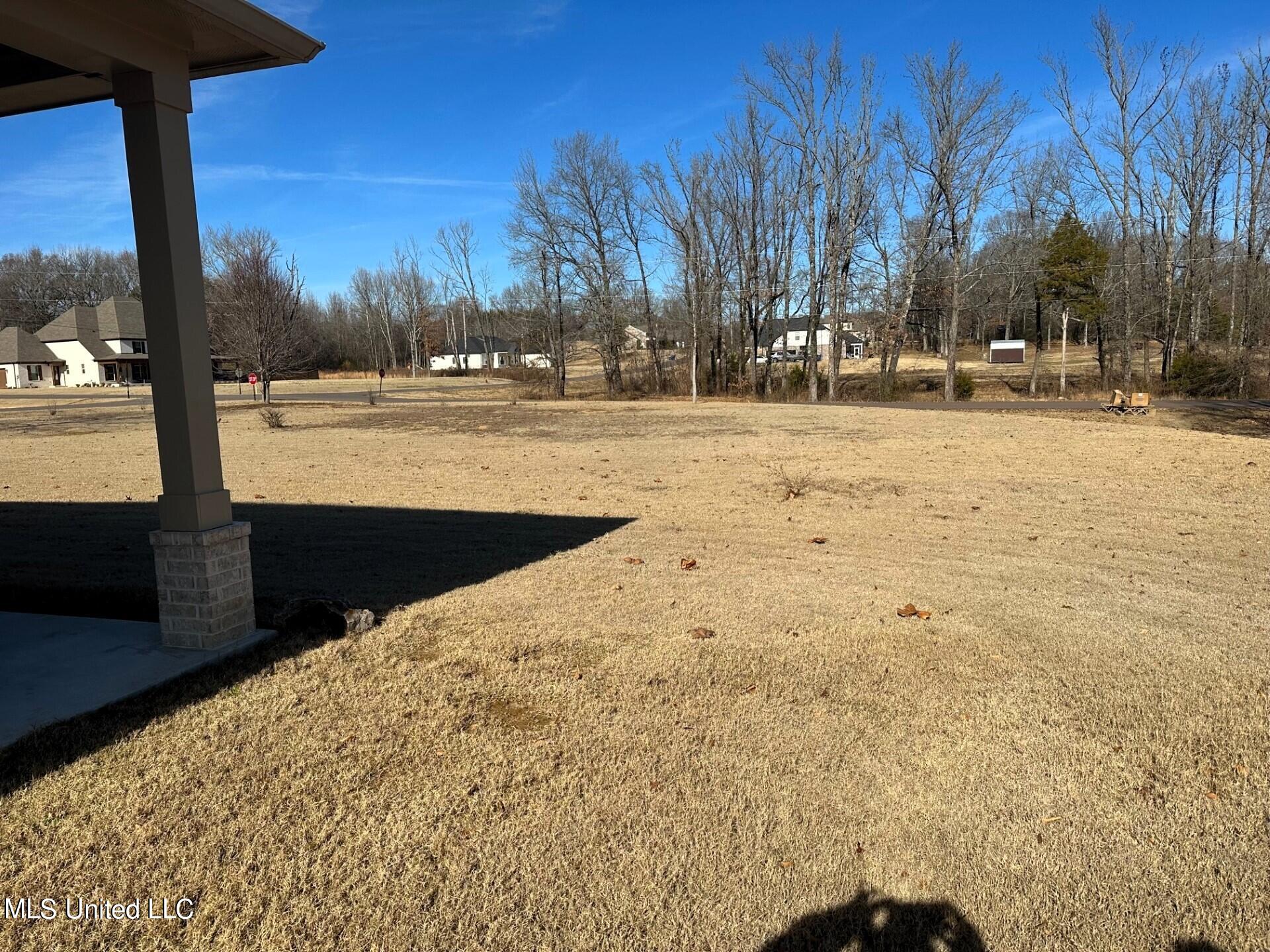 610 Lloyd's Lane Nesbit, MS 38651 - Photo 6 of 32 thumbnail_IMG_3978