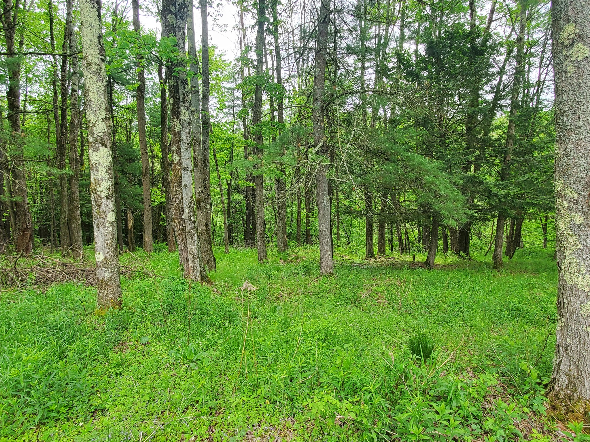 220 Brinkman Road Brackney, PA 18812 - Photo 30 of 33