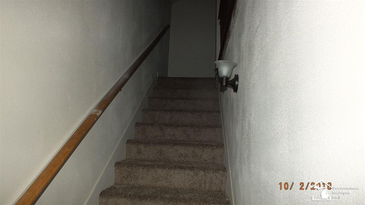 5532 Robinson Road Petersburg, MI 49270 - Photo 19 of 27 31361752-19.JPG