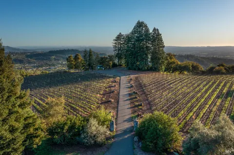 a view of a lake with a mountain