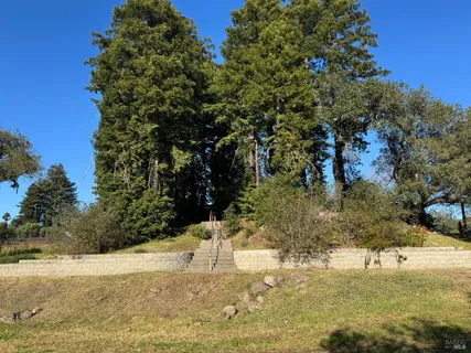 a view of a lake from a yard