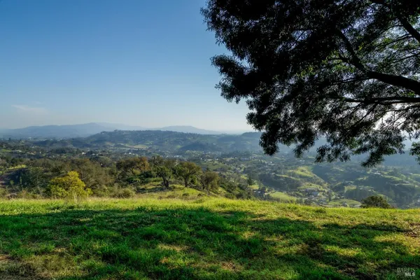 a view of a yard with a mountain