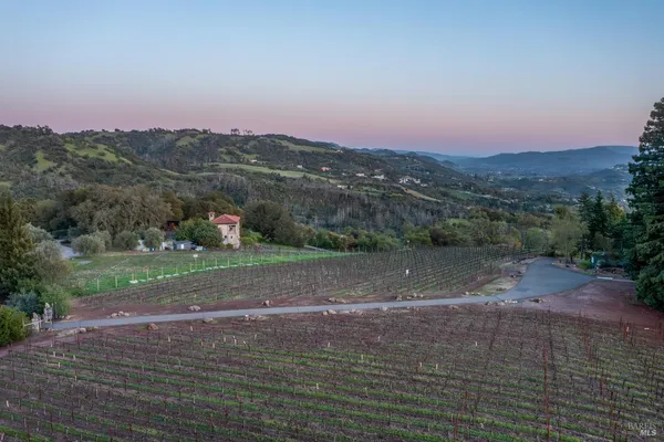 a view of a yard with mountains in the back