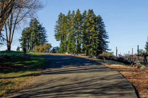 a view of a street with a trees