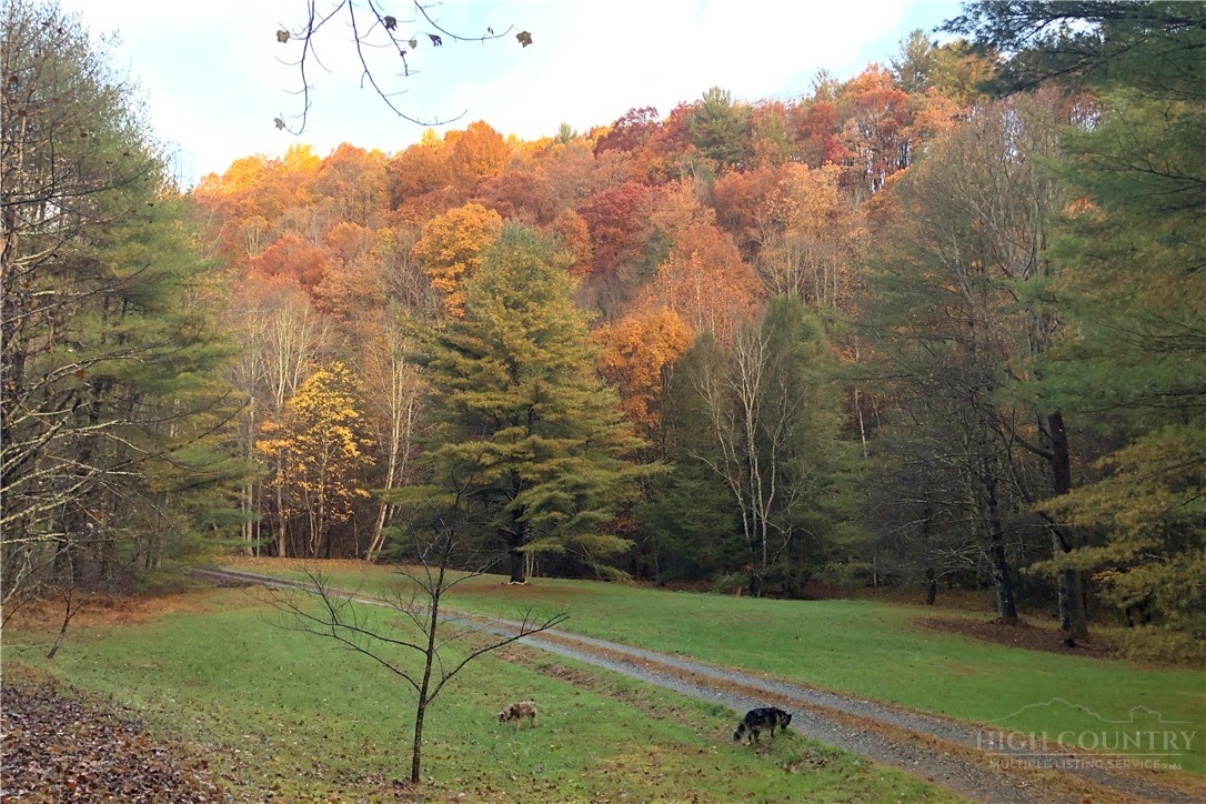 982 Jake's Mountain Road Deep Gap, NC 28618 - Photo 47 of 50 Gallery Image 47