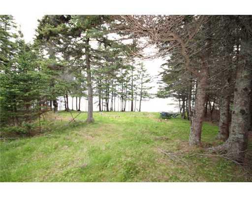 315 East Point Road Swans Island, ME 04685 - Photo 8 of 15 Yard/Garden.