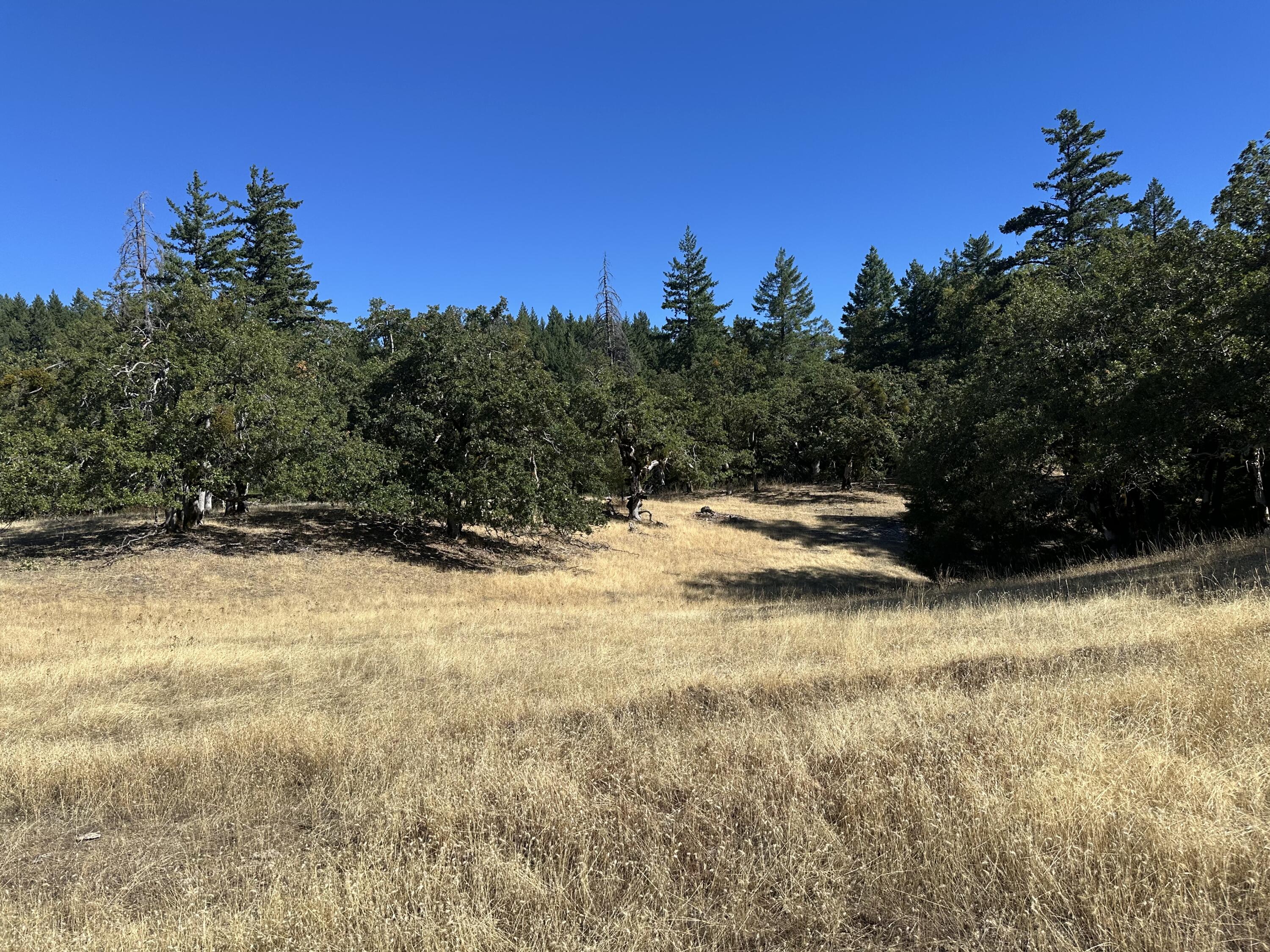 751 Lassic's Lookout Road Zenia, CA 95595 - Photo 13 of 29