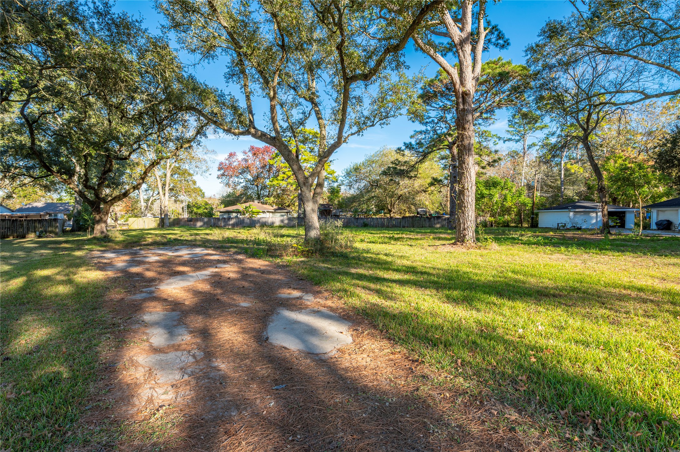 5059 Winding Way Dickinson, TX 77539 - Photo 13 of 13 a view of yard with tree and a yard
