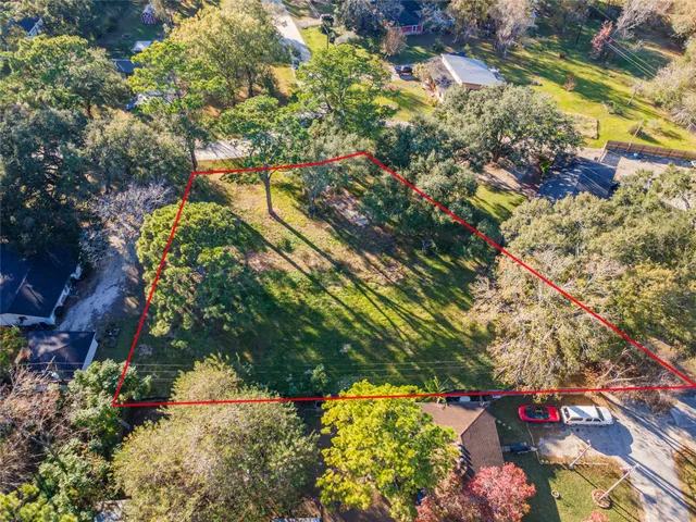 a picture of flowers