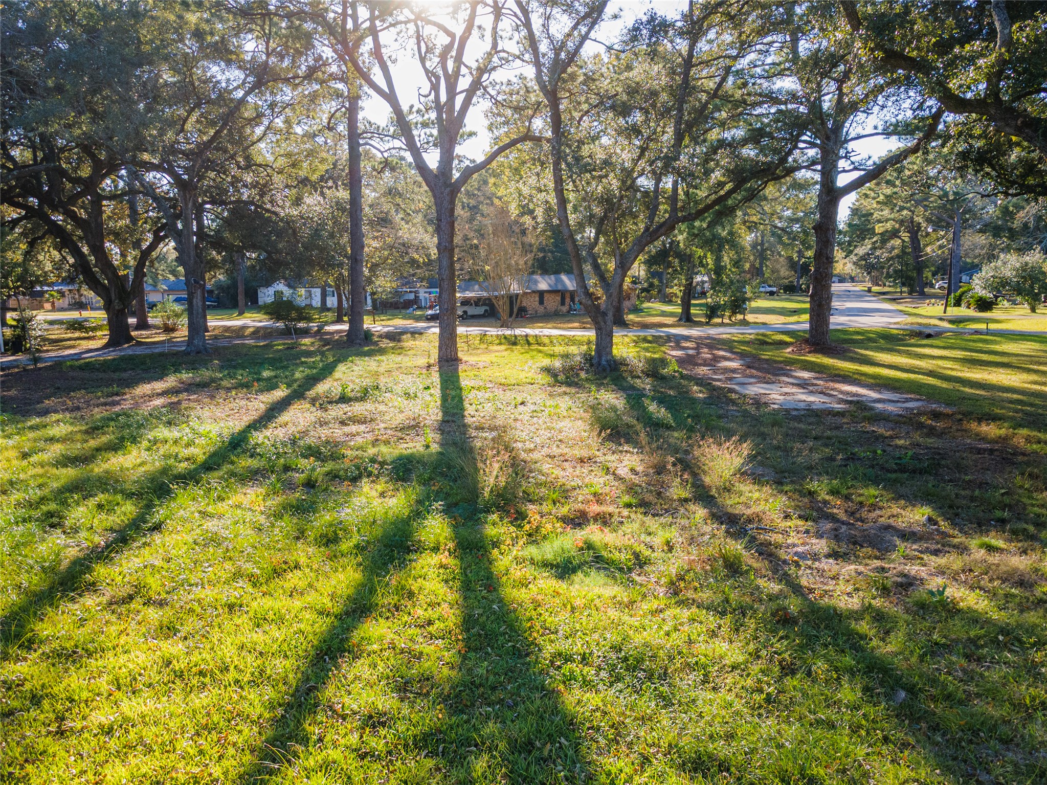 5059 Winding Way Dickinson, TX 77539 - Photo 9 of 13 a view of yard with trees