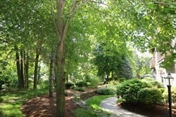 4 D Forge Pond, Unit D Canton, MA 02021 - Photo 38 of 41