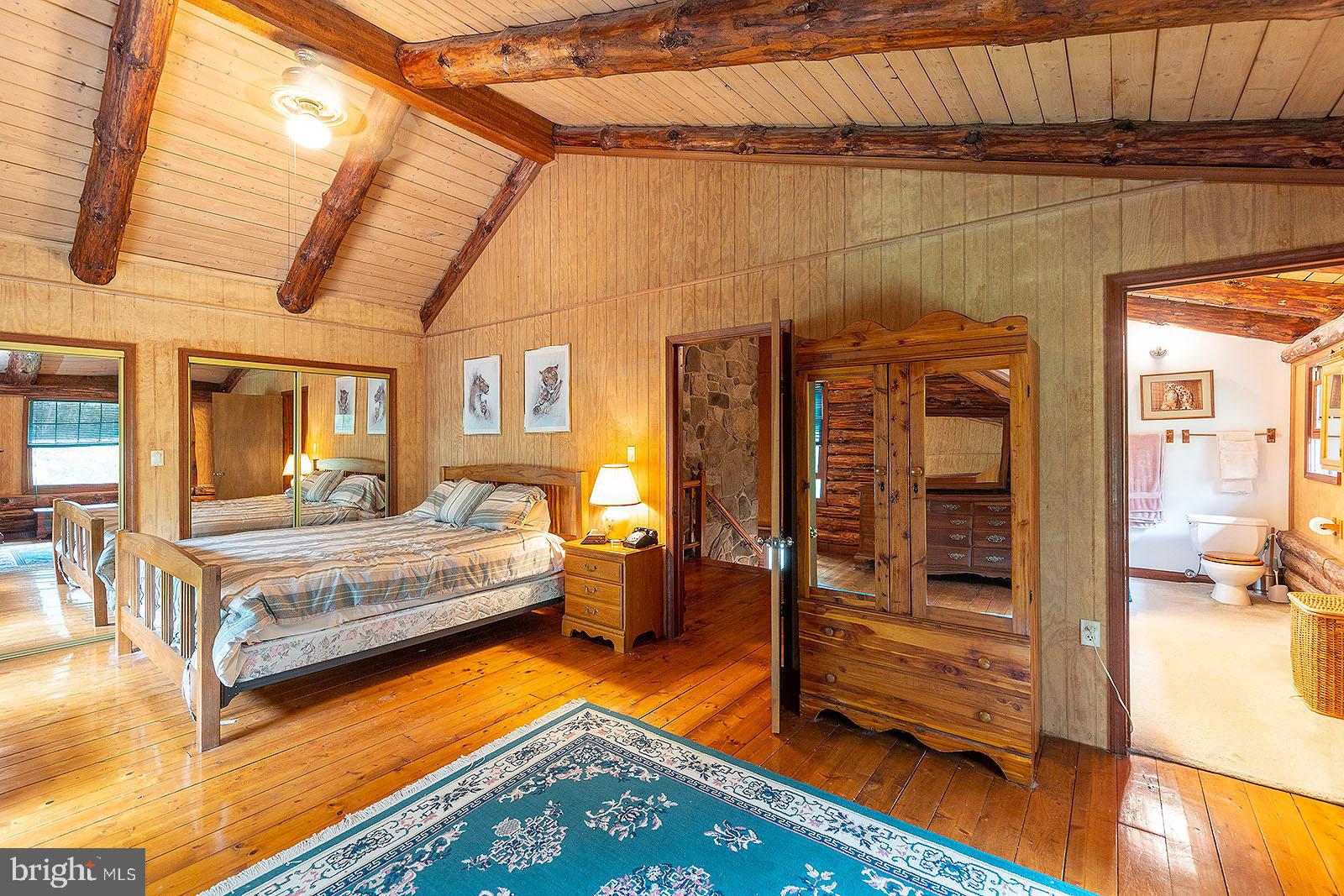 675 Siler Road Winchester, VA 22603 - Photo 21 of 52 Spacious Primary Bedroom with ceiling fan
