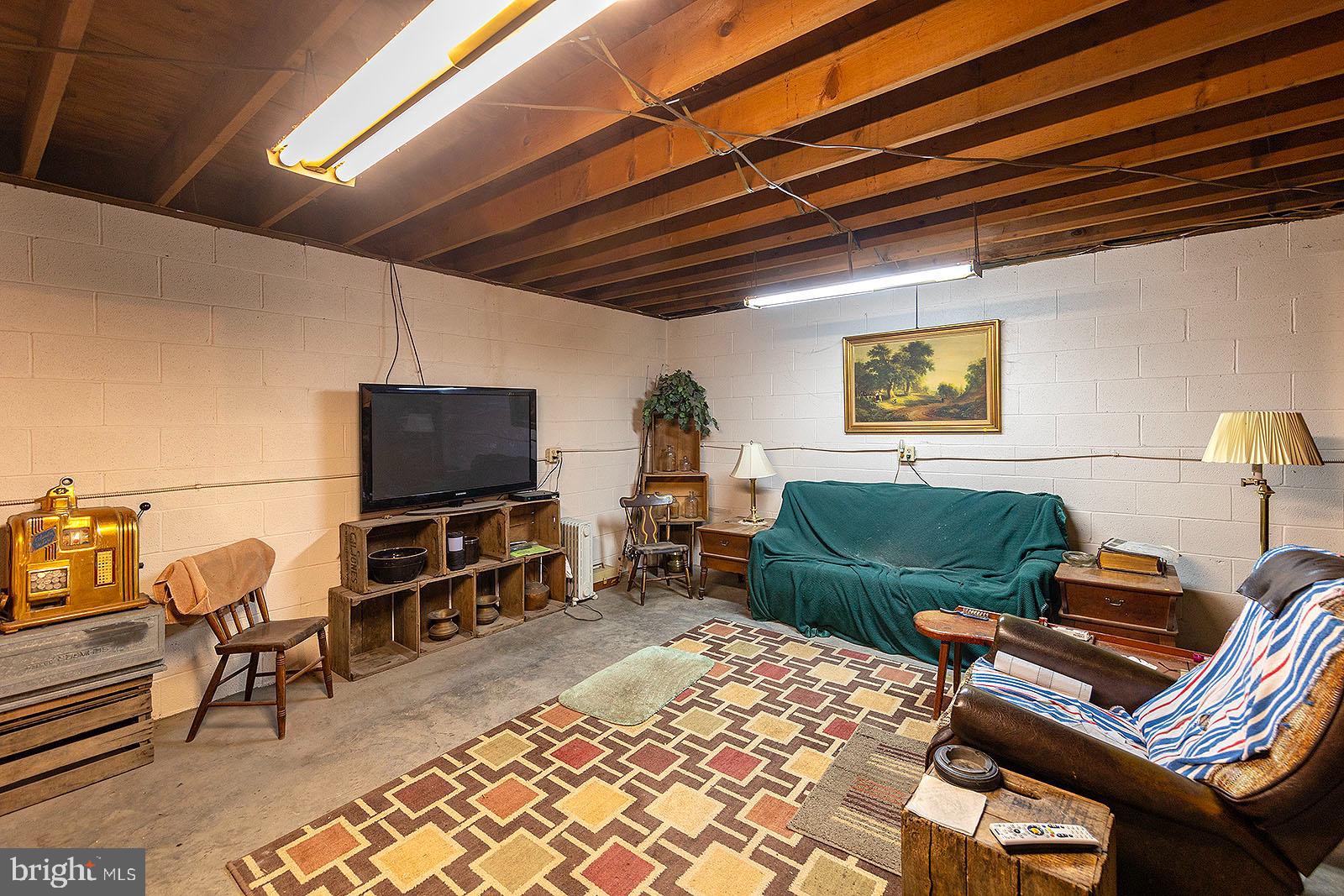 675 Siler Road Winchester, VA 22603 - Photo 29 of 52 Extra room in basement