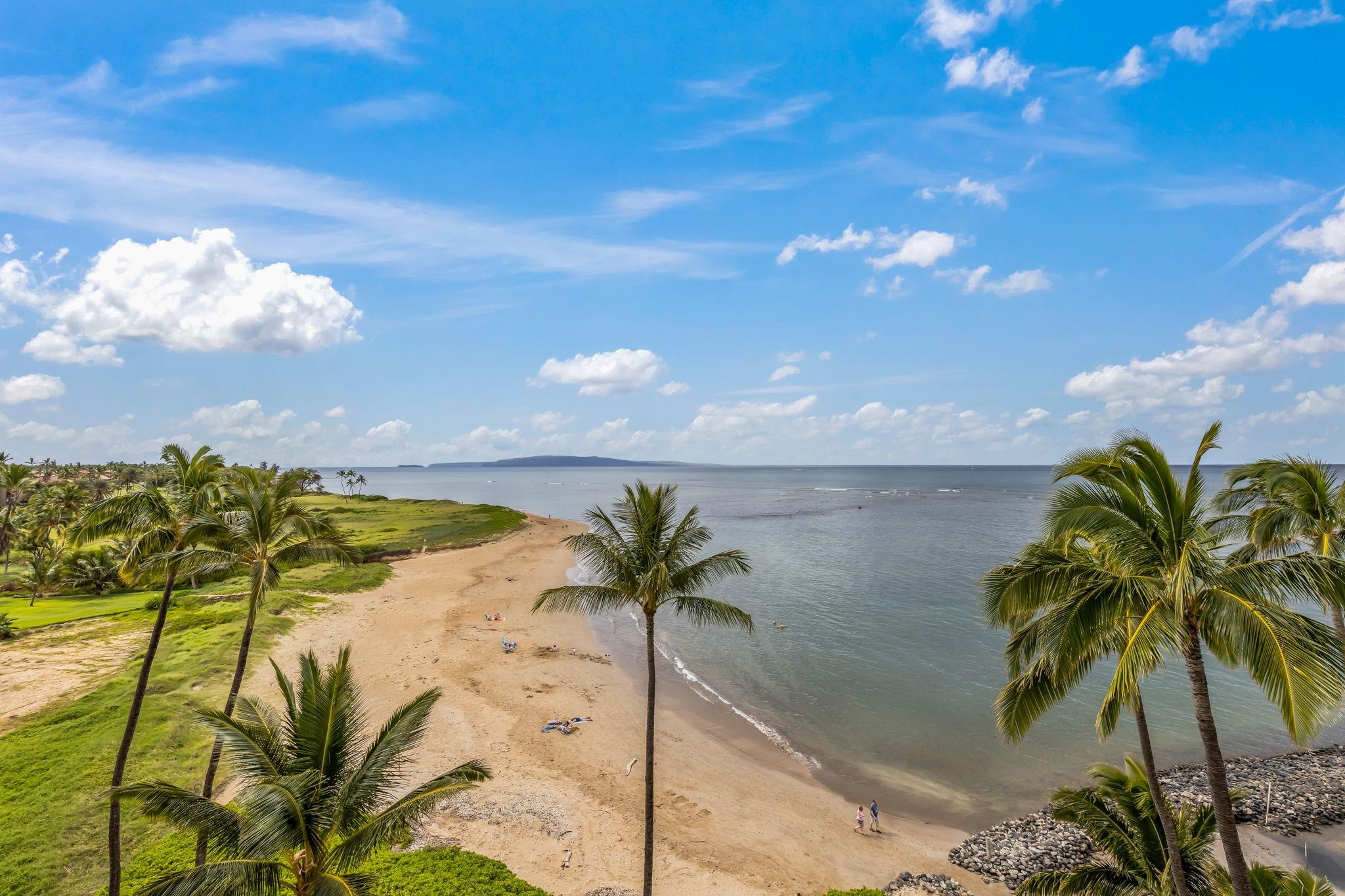 760 South Kihei Road, Unit 522 Kihei, HI 96753 - Photo 40 of 48 a view of a palm tree next to a yard