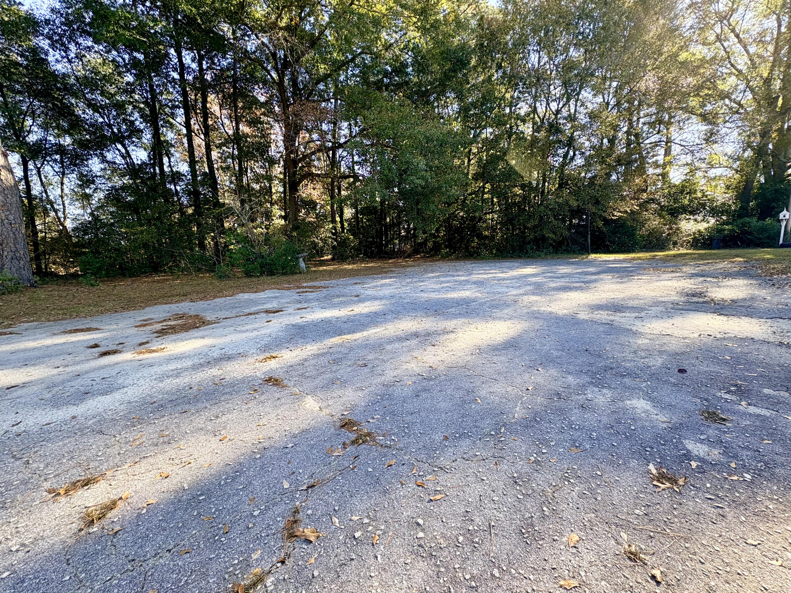 1409 Fairview Road Pelion, SC 29123 - Photo 37 of 52