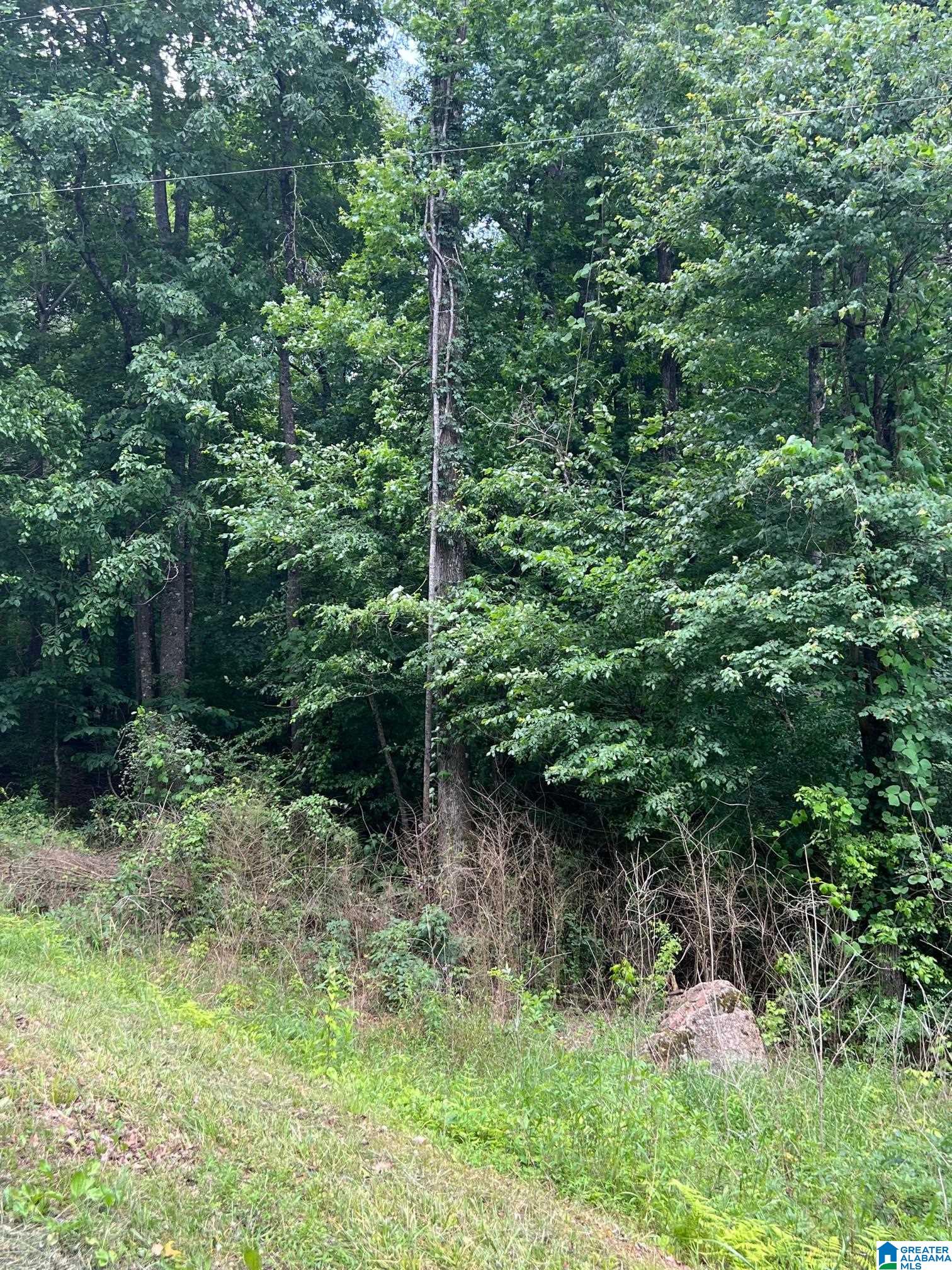 310 Fredric Ferry Road, Unit 5 AC Daviston, AL 36256 - Photo 8 of 10