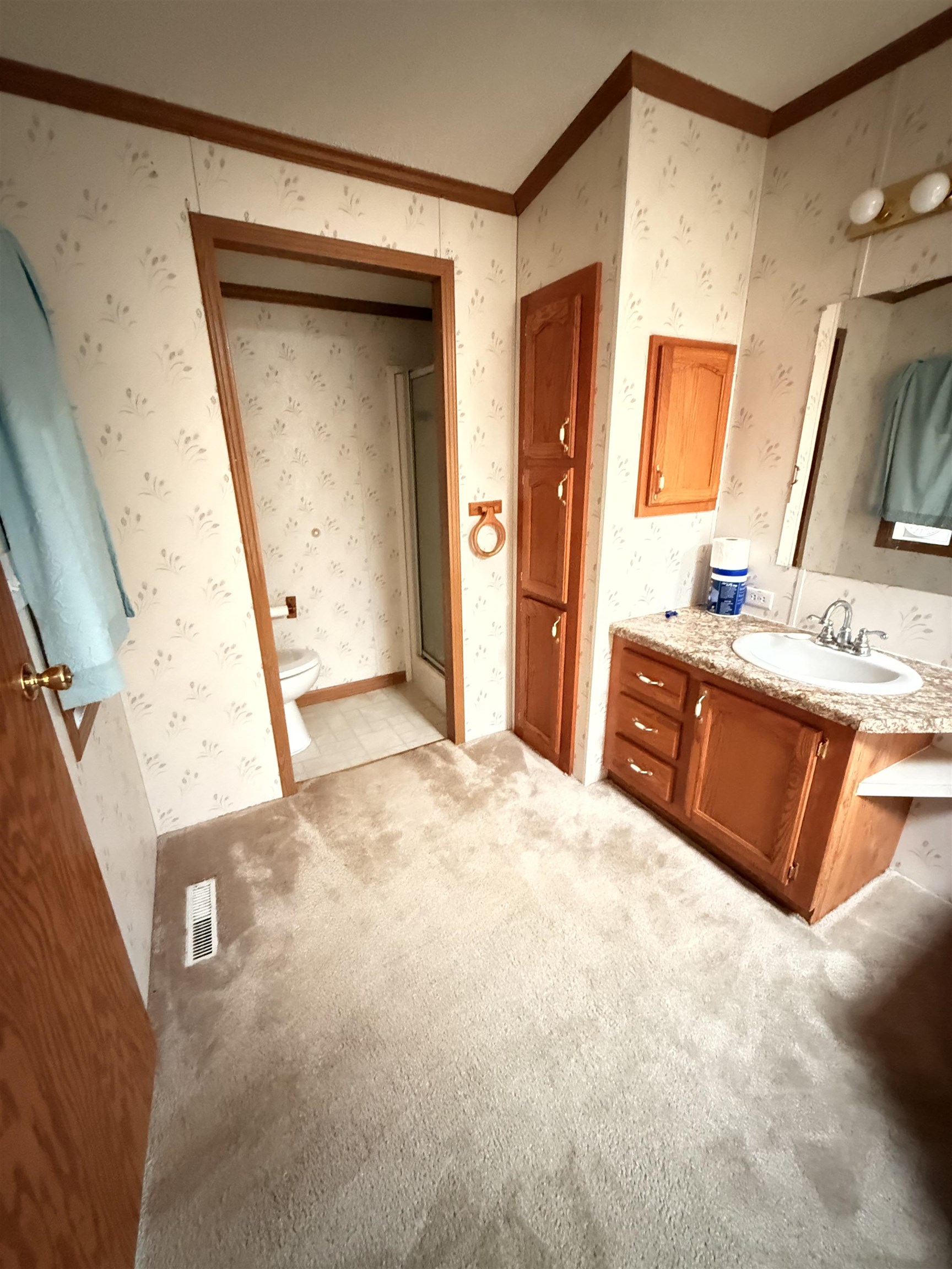 13875 Graphite Road Tomah, WI 54660 - Photo 10 of 21