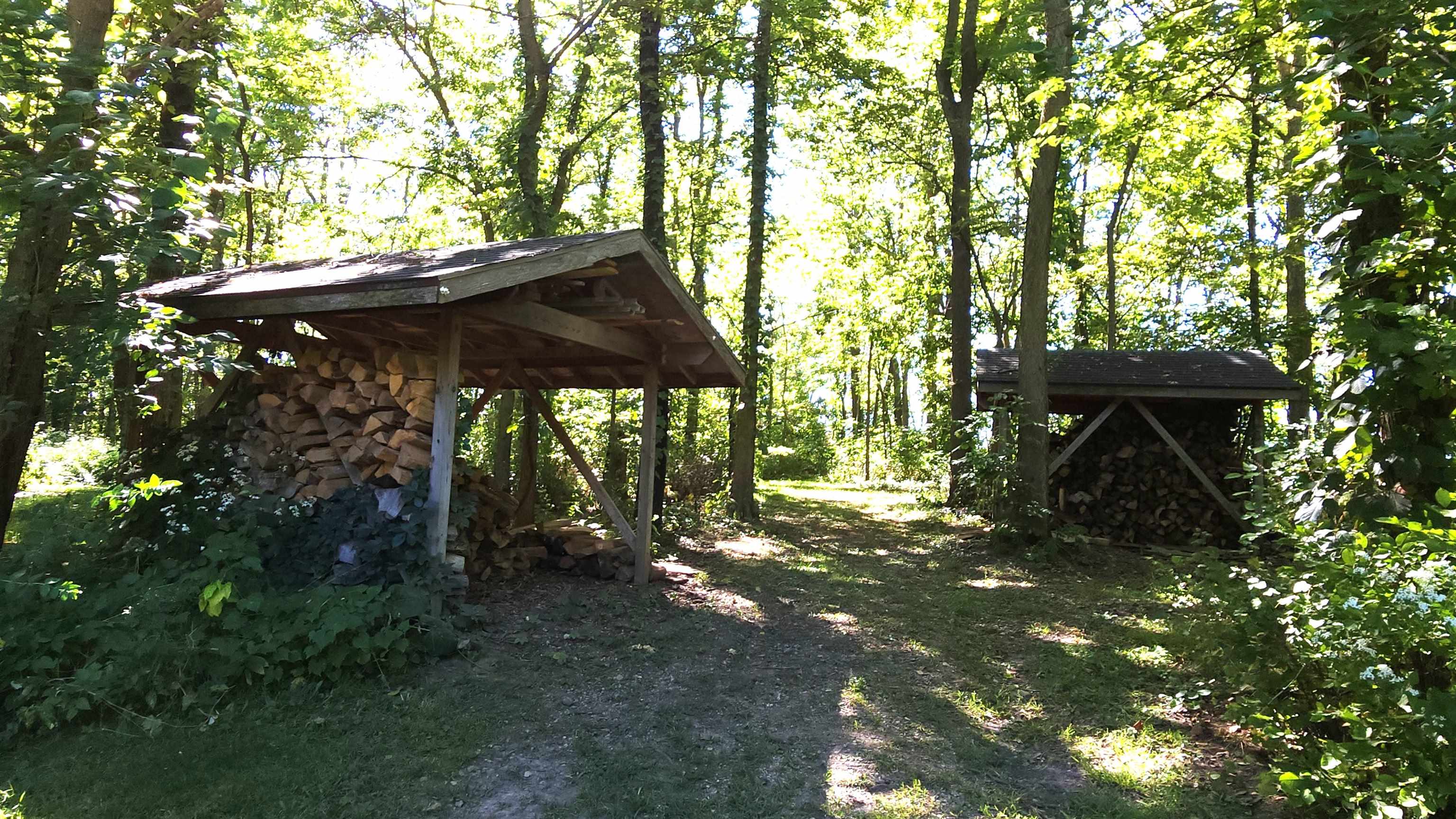 6262 North Eggert Road Rock City, IL 61070 - Photo 14 of 75 a view of a tree in the backyard of a house