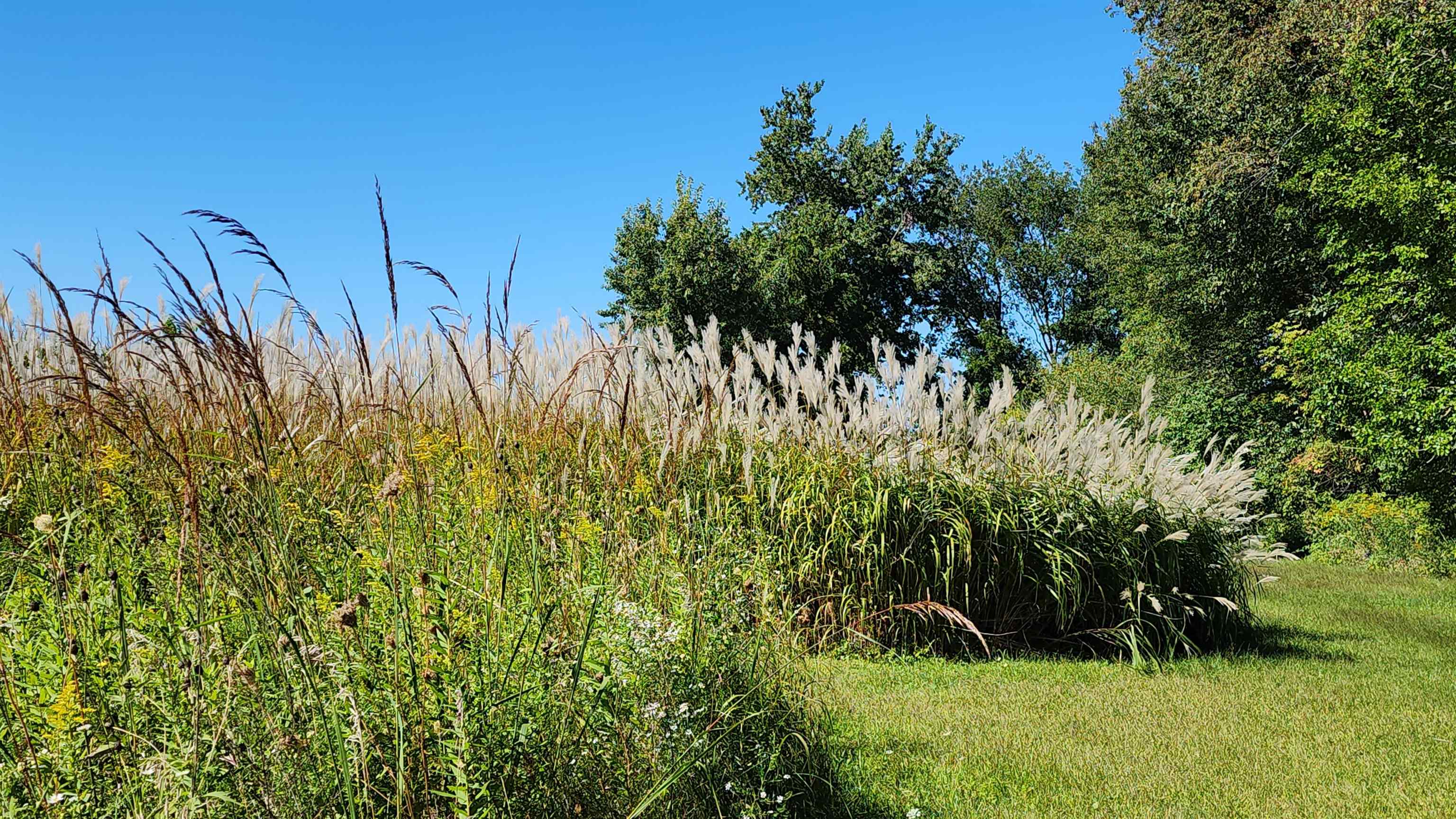 6262 North Eggert Road Rock City, IL 61070 - Photo 18 of 75