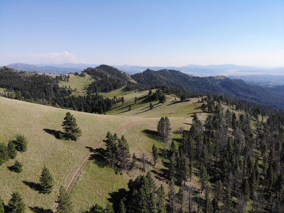 Tbd Outer Loop Road Cascade, MT 59421 - Photo 12 of 20 Gallery Image 12