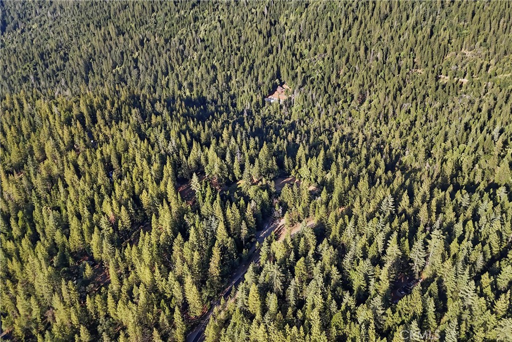 3353 Forbestown Road Oroville, CA 95966 - Photo 44 of 44