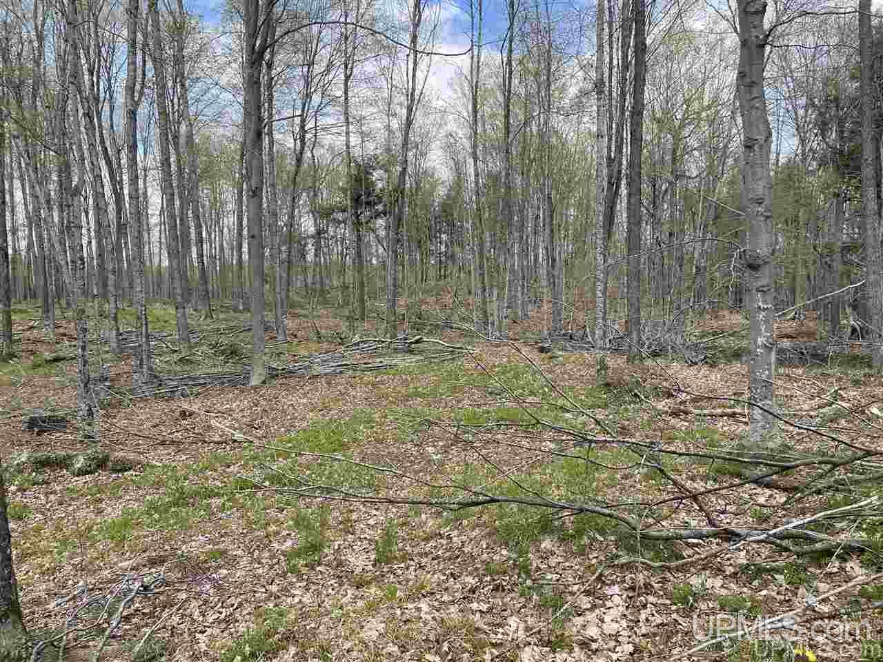 Tbd Tbd Truax Road, Unit 1 Cornell, MI 49818 - Photo 28 of 43