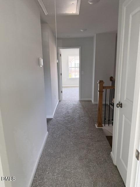 203 Broomside Avenue Raleigh, NC 27603 - Photo 23 of 31 IMG_2076