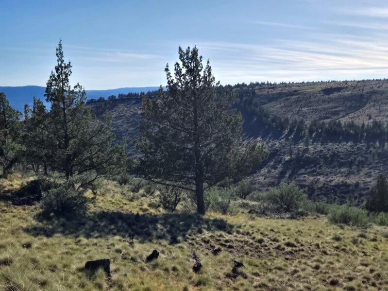 Marks Creek Rd Mount Dayville, OR 97825 - Photo 3 of 12 Miller Ranch Terrain - Copy