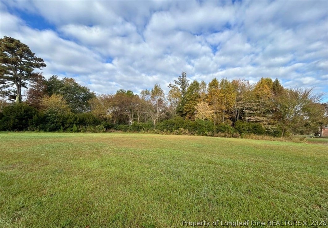 4132 Chancellors Ridge Way Sanford, NC 27330 - Photo 6 of 9