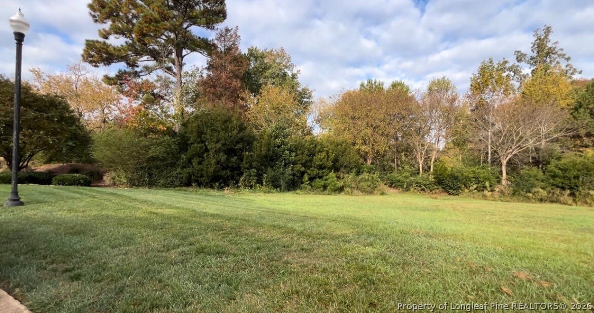 4132 Chancellors Ridge Way Sanford, NC 27330 - Photo 7 of 9