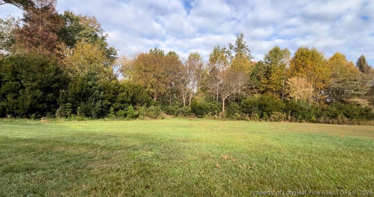 4132 Chancellors Ridge Way Sanford, NC 27330 - Photo 8 of 9