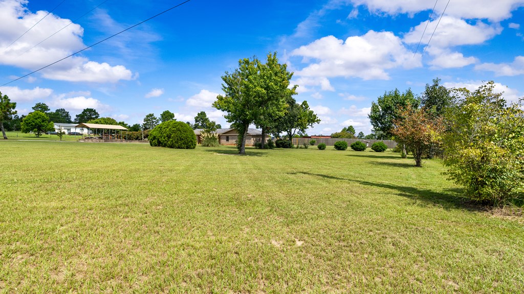 1164 Pineknot Road Box Springs, GA 31801 - Photo 15 of 31 Gallery Image 15