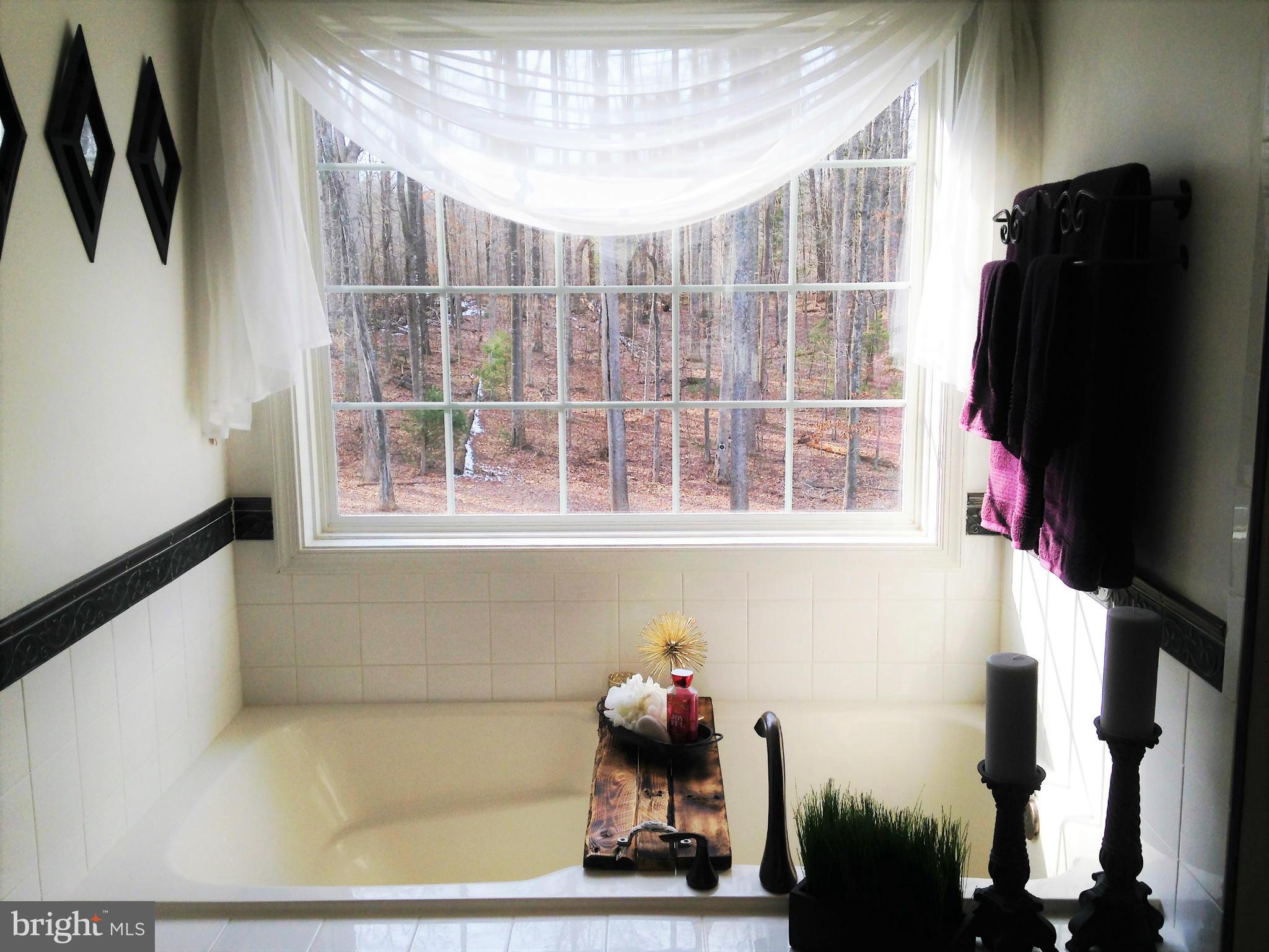 16006 Oakland Road Reva, VA 22735 - Photo 17 of 30 Bath (Master)