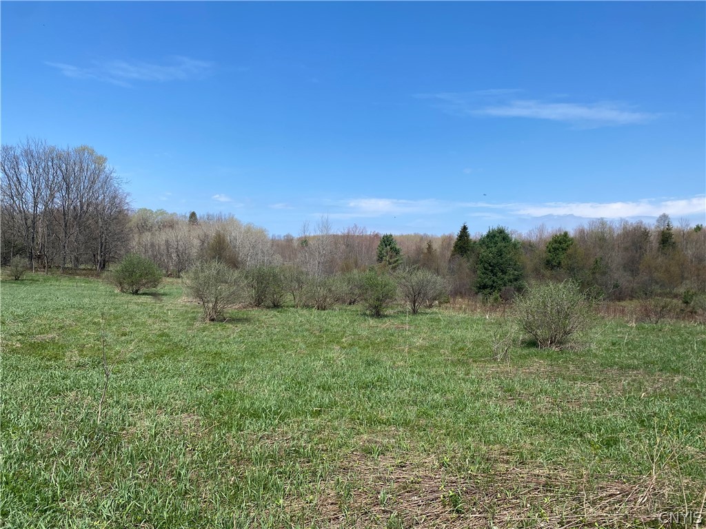 4 County Route Fulton, NY 13069 - Photo 4 of 37