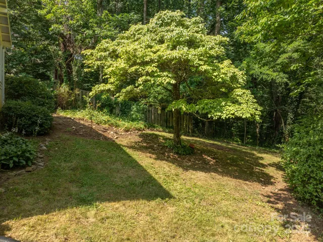 a view of a yard with large trees