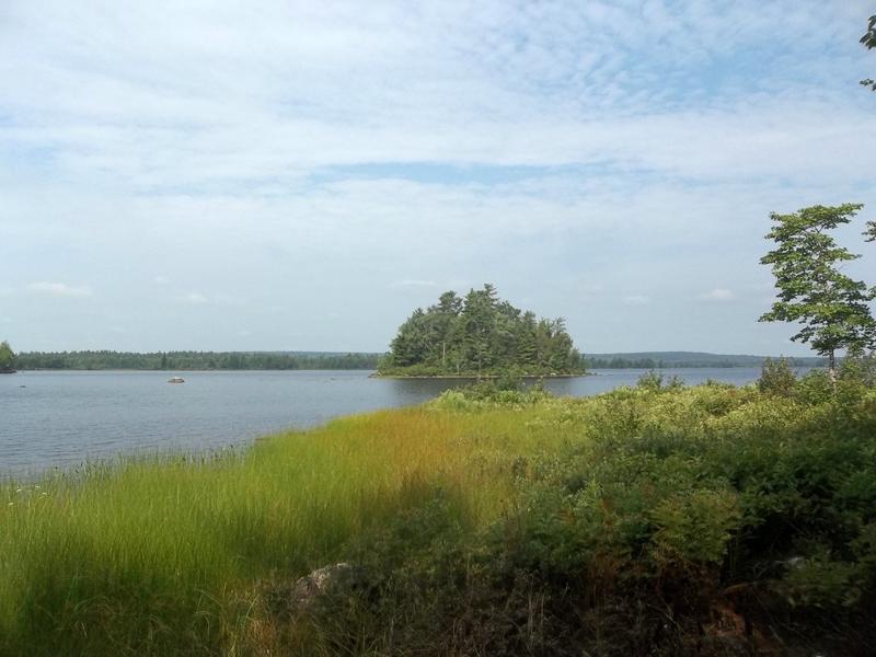 0 Great Pne Pt Road Crawford, ME 04694 - Photo 4 of 7 100_9439